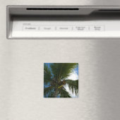 Een blik op de tropische Natuur van de Kokospalm Magneet (Insitu (Vaatwasser))