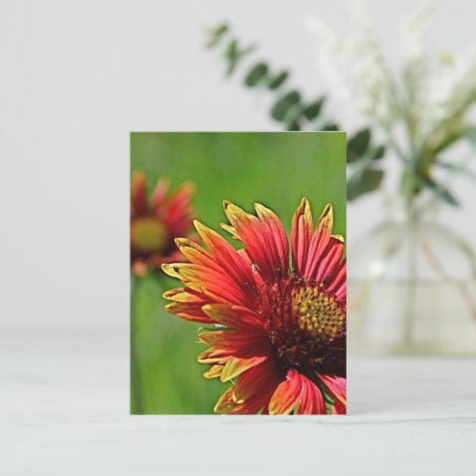 Een blik van dichtbij briefkaart (Staand voorkant)