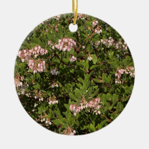 Een bloeiend Californië: Manzanita Keramisch Ornament