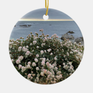 Een bloeiend Californië: Zee Cliff Buckwheat Keramisch Ornament
