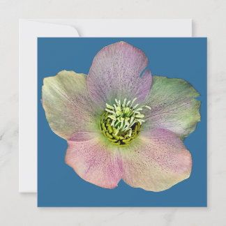 Een bloem feestdagenkaart
