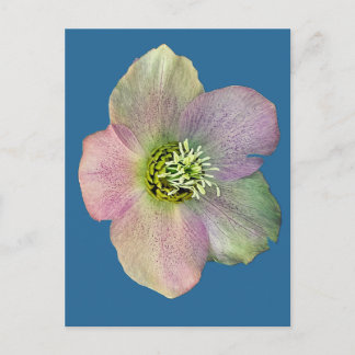 Een bloem feestdagenkaart