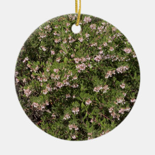 Een Blooming Californië: Manzanita Keramisch Ornament