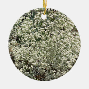 Een Blooming Californië: St. Catherine's kant Keramisch Ornament