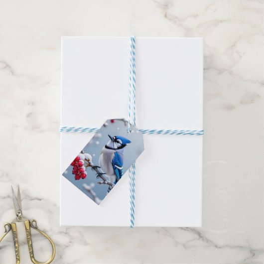Een Blue Jay op een Snowy Branch Christmas Cadeaulabel (Met Touw)