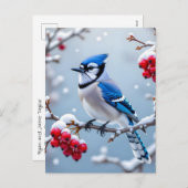 Een Blue Jay op een Snowy Branch Christmas Feestdagenkaart (Voorkant / Achterkant)