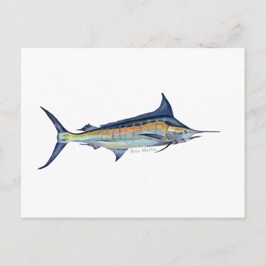Een Blue Marlin vis briefkaart (Voorkant)