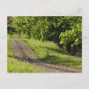 Een boerderijweg in Ipswich, Massachusetts. Briefkaart