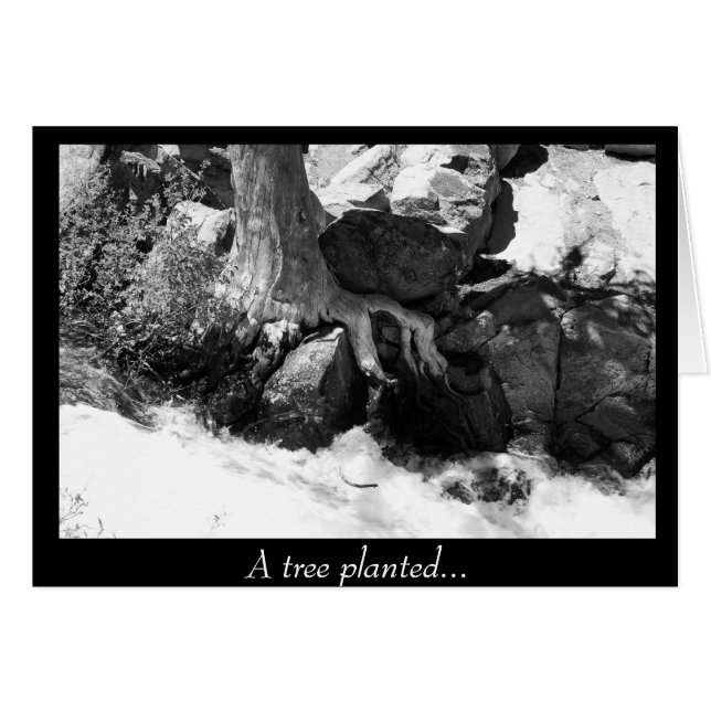 Een boom beplant... (Voorkant Horizontaal)