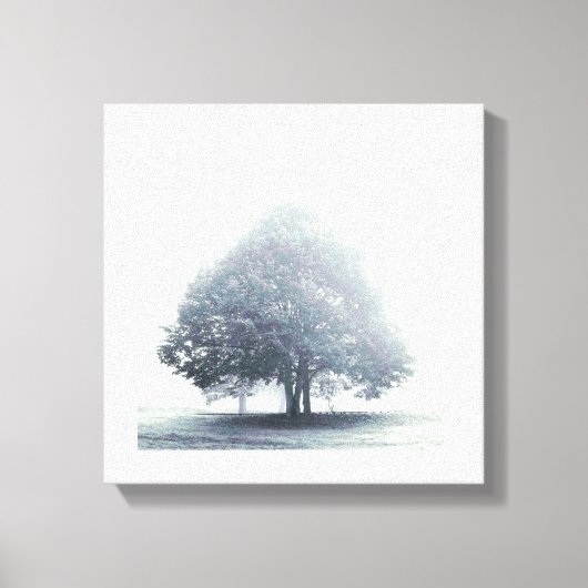 Een boom in mist canvas afdruk (Voorkant)