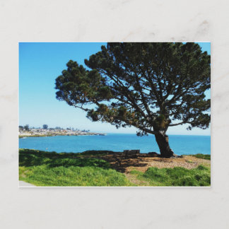 Een boom voor alle seizoenen briefkaart