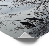 Een boom waarin veel kraaien rusten poster (Hoek)