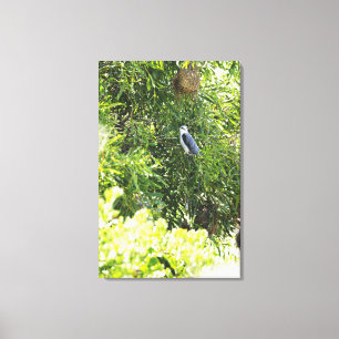 Een boomknol op een boom canvas afdruk