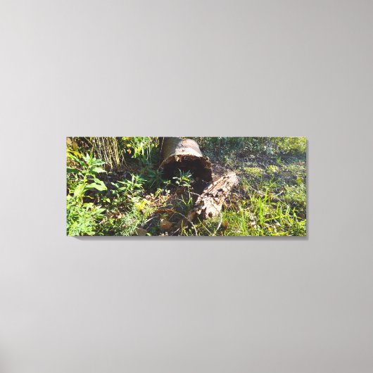 Een boomlog vergeten canvas afdruk (Voorkant)