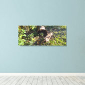 Een boomlog vergeten canvas afdruk (Insitu (Houten vloer))