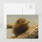 Een boomvertakking maken briefkaart (Voorkant / Achterkant)