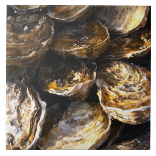 Een bord met oesters. tegeltje