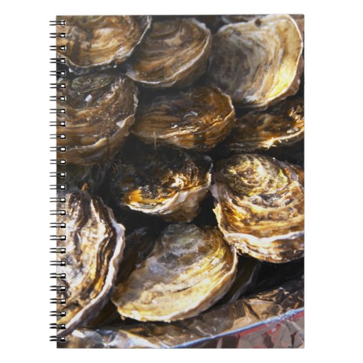 Een bord oesters. notitieboek (Voorkant)