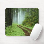 Een bospad in Redwoods State Park, Californië. Muismat (Met muis)