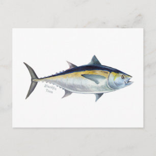 Een briefkaart van de Blackfin Tuna.