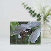 Een Briefkaart voor de datum van de maand (Staand voorkant)