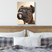 Een Brindle Boxer puppy die vreemd opkijkt. Canvas Afdruk (Insitu (Slaapkamer))