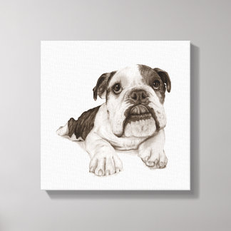 Een Brindle Bulldog Puppy tekening Canvas Afdruk