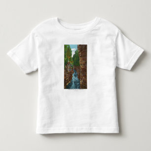 Een bruikbaar chassis uit de Cave van Hyde omlaag Kinder Shirts