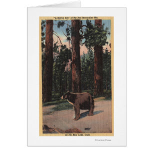 Een bruin Beer in de Bossen