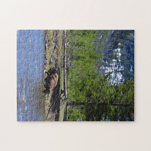 Een buffel steekt een rivier over in Yellowstone Legpuzzel (Horizontaal)