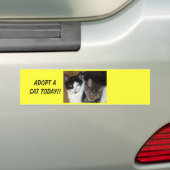 Een Bumpersticker Kat aannemen (Op auto)