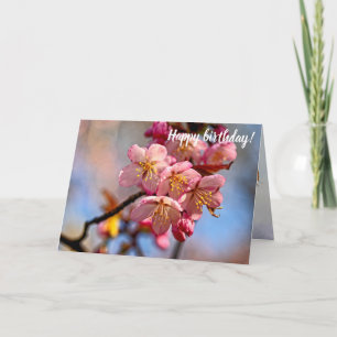 Een bundel sweet Sakura Cherry bloesems in de lent Kaart