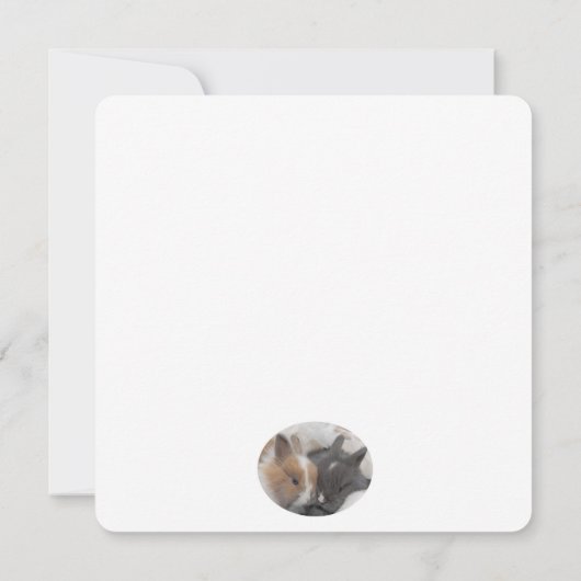 Een Bunny houdt van je (Achterkant)