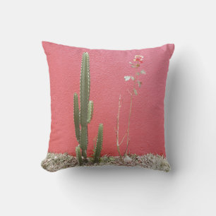 Een cactus en een roos kussen