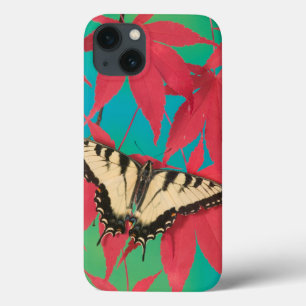 Een Canadese tijger Swallowtail Butterfly iPhone 13 Hoesje