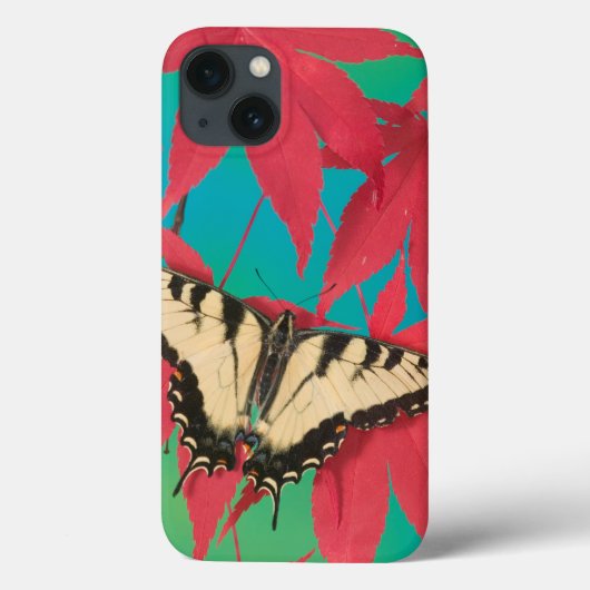 Een Canadese tijger Swallowtail Butterfly Case-Mate iPhone Case (Achterkant)