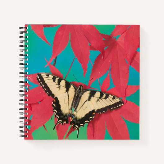 Een Canadese tijger Swallowtail Butterfly Notitieboek (Voorkant)