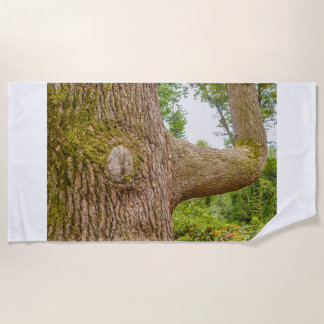 een cedar uit de Himalaya op badhanddoeken Strandlaken