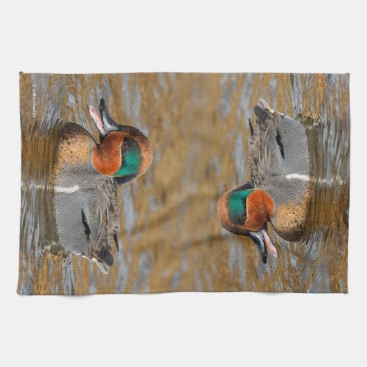 Een Chatty Green-Winged Blauwgroen Duck bij de Pon Theedoek (Horizontaal)