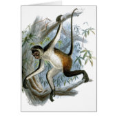 Eén Cheeky Monkey CC0366-kinderkaart (Voorkant)