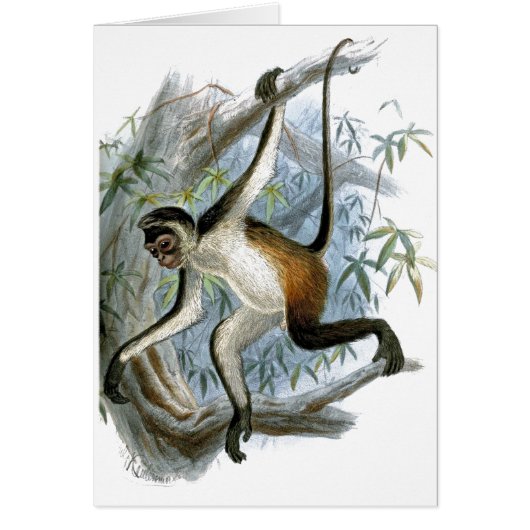 Eén Cheeky Monkey CC0366-kinderkaart (Voorkant)