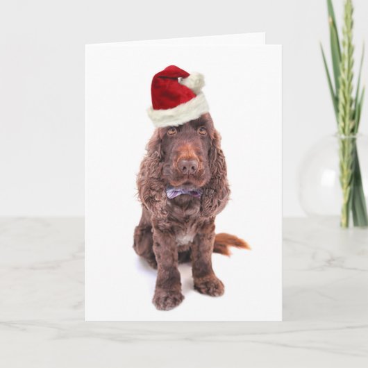 Een chocolade-Engelse cocker spaniel Feestdagen Kaart (Voorkant)