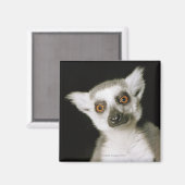 Een citroen. magneet (Voorkant / Achterkant)