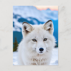 Een close-up portret van een Arctic Fox Briefkaart
