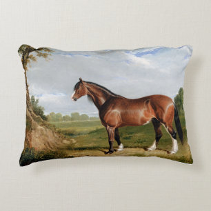 Een Clydesdale-hengst Accent Kussen