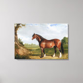 Een Clydesdale-hengst Canvas Afdruk (Voorkant)