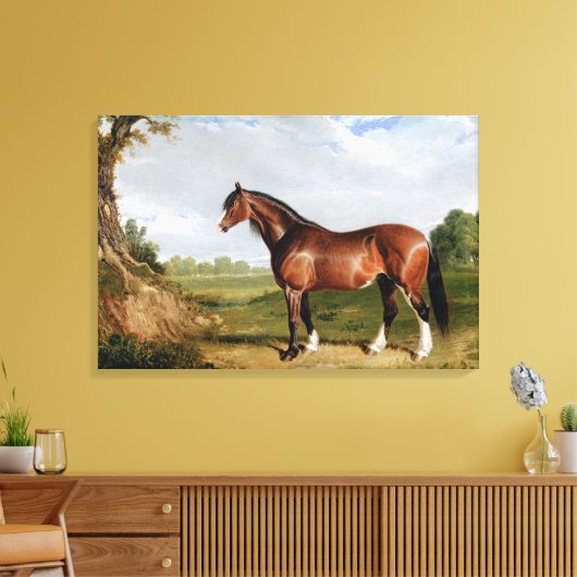 Een Clydesdale-hengst Canvas Afdruk (Insitu (Woonkamer))