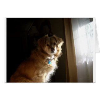 Een comfortabele opvrager