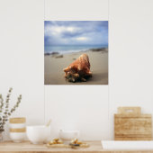 Een container Shell op de beach | St. Croix, Usvi Poster (Keuken)