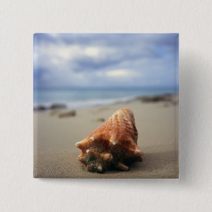 Een container Shell op de beach St. Croix, Usvi Vierkante Button 5,1 Cm